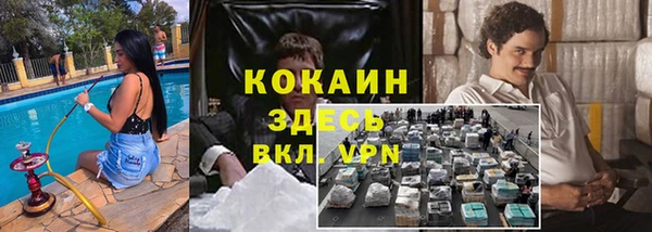 мдпв Белокуриха