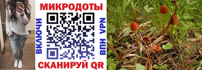 продажа наркотиков  Мглин  Псилоцибиновые грибы Magic Shrooms 